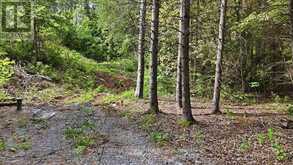 00 OTTER CREEK ROAD | Tweed Ontario | Slide Image Nine