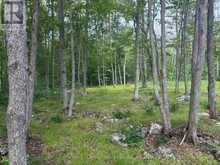554 PIGDEN ROAD | Madoc Ontario | Slide Image Two
