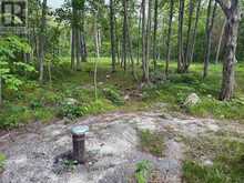 554 PIGDEN ROAD | Madoc Ontario | Slide Image Three