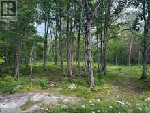 554 PIGDEN ROAD | Madoc Ontario | Slide Image Four