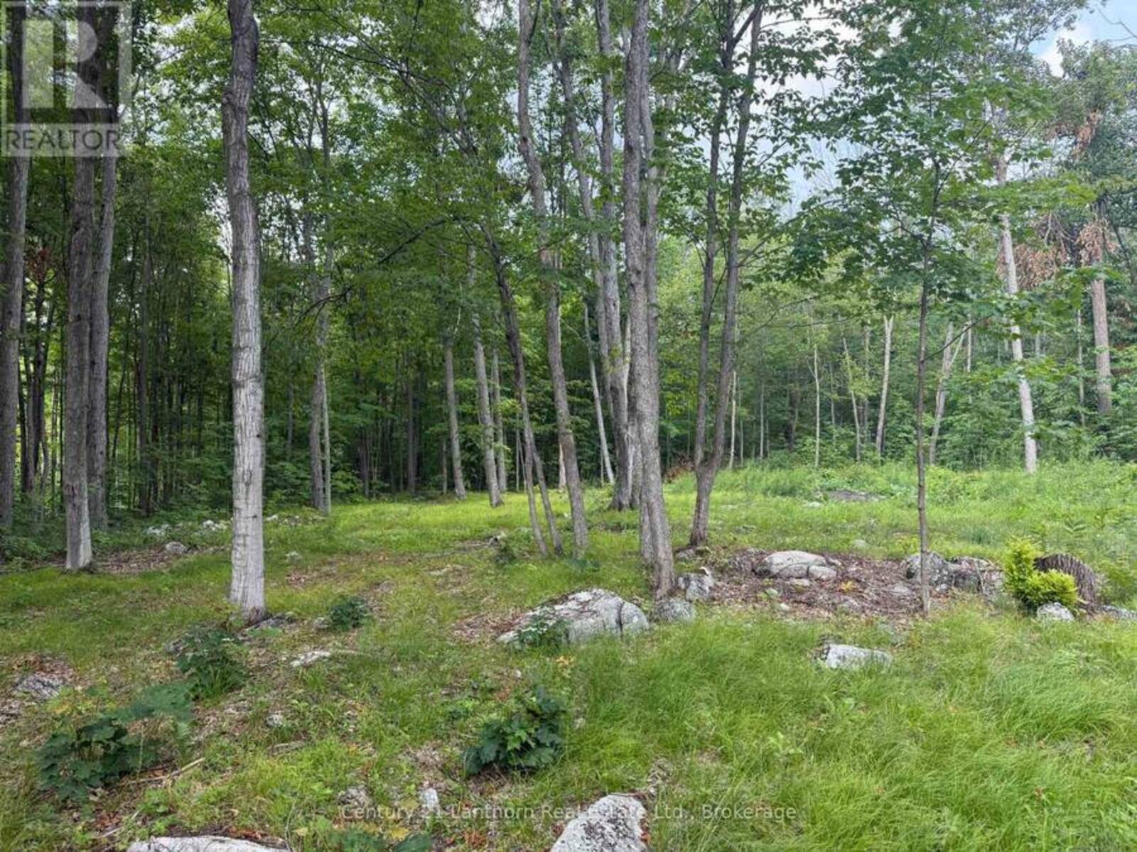 554 PIGDEN ROAD, Madoc, Ontario K0K 2K0