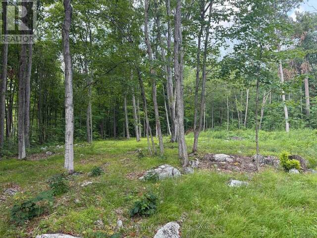 554 PIGDEN ROAD Madoc Ontario, K0K 2K0 - Vacant Land For Sale