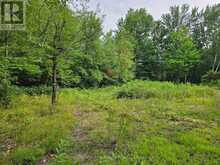 1446 FLINTON ROAD | Tweed Ontario | Slide Image Thirteen