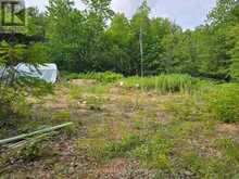1446 FLINTON ROAD | Tweed Ontario | Slide Image Fifteen