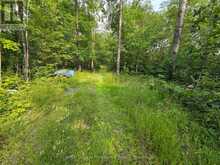 1446 FLINTON ROAD | Tweed Ontario | Slide Image Three