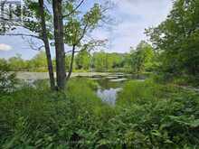 1446 FLINTON ROAD | Tweed Ontario | Slide Image Eight