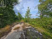 1446 FLINTON ROAD | Tweed Ontario | Slide Image Nine