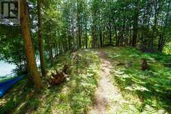 382 OLD DETLOR ROAD | Bancroft Ontario | Slide Image Thirty-four