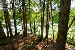382 OLD DETLOR ROAD | Bancroft Ontario | Slide Image Thirty-seven