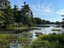 224 FIRE ROUTE 91 | Havelock-Belmont-Methuen Ontario | Slide Image Three