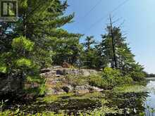 224 FIRE ROUTE 91 | Havelock-Belmont-Methuen Ontario | Slide Image Twenty-six