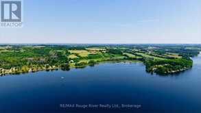 733 COUNTY RD 2 Road E | Otonabee-South Monaghan Ontario | Slide Image Forty-four