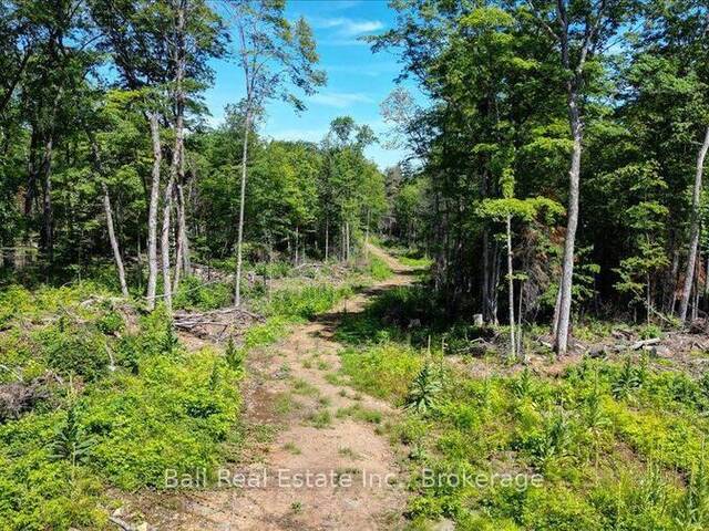 691 BUSH ROAD Apsley Ontario, K0L 1A0 - Vacant Land For Sale