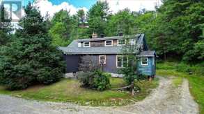 89 JACK LAKE ROAD | Apsley Ontario | Slide Image Thirty-eight