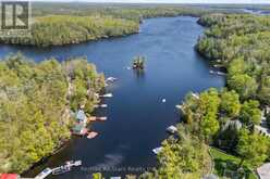 55 FIRE ROUTE 393 | Kawartha Lakes Ontario | Slide Image Five