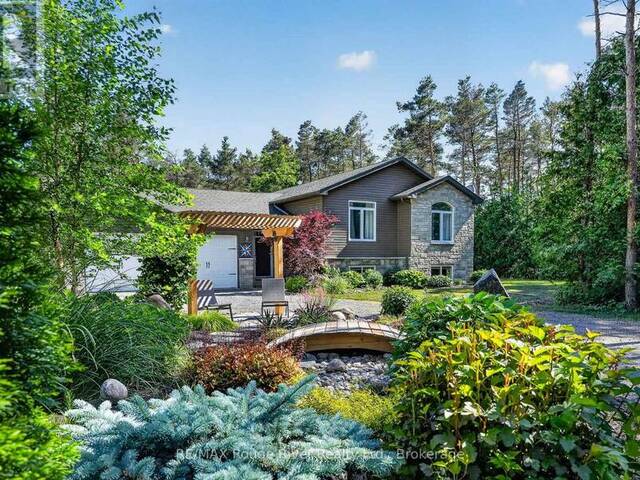 149 PINE TREE LANE Alnwick-Haldimand Ontario, K0K 1S0 - 4 Bedrooms Home For Sale