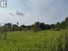 670 SCOTCH SETTLEMENT ROAD | Madoc Ontario | Slide Image Two