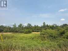 670 SCOTCH SETTLEMENT ROAD | Madoc Ontario | Slide Image Three