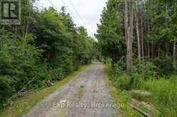 2822 SHANNON ROAD | Tyendinaga Ontario | Slide Image Three