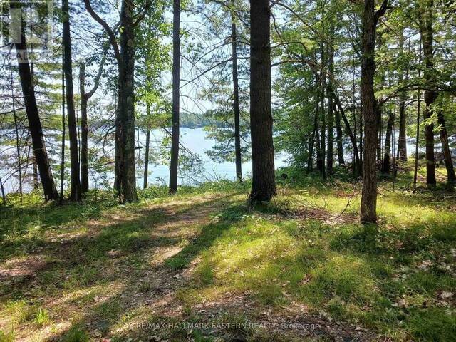 15 FIRE ROUTE 92A KASSHABOG LAKE North Kawartha Ontario, K0L 2H0 - Waterfront Land For Sale