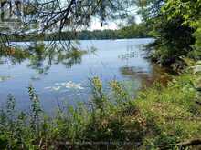15 FIRE ROUTE 92A KASSHABOG LAKE | North Kawartha Ontario | Slide Image Two