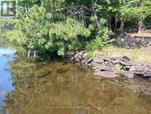 17 FIRE ROUTE 92A KASSHABOG LAKE | North Kawartha Ontario | Slide Image Twenty-nine