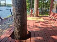 17 FIRE ROUTE 92A KASSHABOG LAKE | North Kawartha Ontario | Slide Image Five