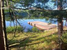 17 FIRE ROUTE 92A KASSHABOG LAKE | North Kawartha Ontario | Slide Image Seven
