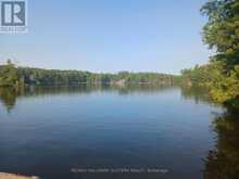 17 FIRE ROUTE 92A KASSHABOG LAKE | North Kawartha Ontario | Slide Image Two