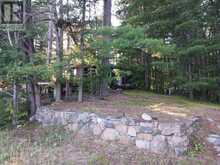 17 FIRE ROUTE 92A KASSHABOG LAKE | North Kawartha Ontario | Slide Image Twenty-four