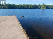 17 FIRE ROUTE 92A KASSHABOG LAKE | North Kawartha Ontario | Slide Image Twenty-five