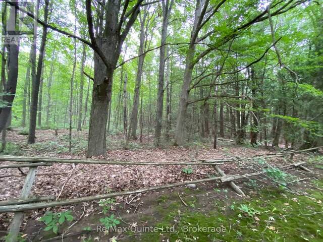 0 COUNTY RD 30 Brighton Ontario, K0K 1H0 - Vacant Land For Sale