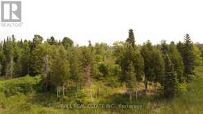 892 COUNTY RD 40 | Asphodel-Norwood Ontario | Slide Image Twelve