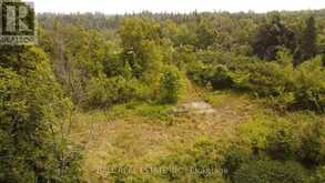 892 COUNTY RD 40 | Asphodel-Norwood Ontario | Slide Image Thirteen