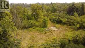 892 COUNTY RD 40 | Asphodel-Norwood Ontario | Slide Image Fourteen