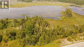 892 COUNTY RD 40 | Asphodel-Norwood Ontario | Slide Image Three