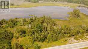 892 COUNTY RD 40 | Asphodel-Norwood Ontario | Slide Image Four