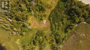 892 COUNTY RD 40 | Asphodel-Norwood Ontario | Slide Image Nine