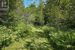 1794 EAST ROAD LOOP | Hastings Highlands Ontario | Slide Image Twenty