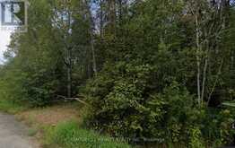 0 MCKNIGHT DRIVE | Minden Hills Ontario | Slide Image Three