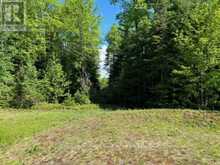 LOT 27 BANCROFT RIDGE DRIVE | Bancroft Ontario | Slide Image Three