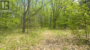 207 MIDDLE RIDGE ROAD | Brighton Ontario | Slide Image Two
