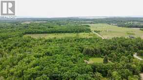 207 MIDDLE RIDGE ROAD | Brighton Ontario | Slide Image Thirteen