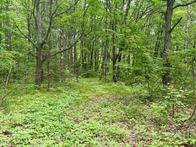 207 MIDDLE RIDGE ROAD Brighton Ontario, K0K 1H0 - Vacant Land For Sale