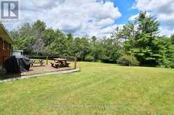 1541 COUNTY ROAD 4 | Douro-Dummer Ontario | Slide Image Thirty-two