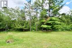 1541 COUNTY ROAD 4 | Douro-Dummer Ontario | Slide Image Thirty-nine