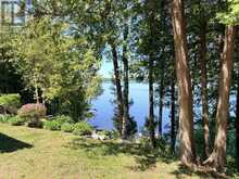 944 BIRCHCLIFF DRIVE | North Kawartha Ontario | Slide Image Eight