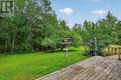 335 DOURO 3RD LINE | North Kawartha Ontario | Slide Image Twenty-nine