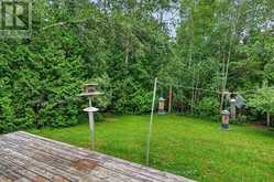 335 DOURO 3RD LINE | North Kawartha Ontario | Slide Image Thirty