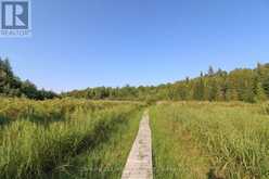 395 SAWMILL ROAD | North Kawartha Ontario | Slide Image Thirty-five